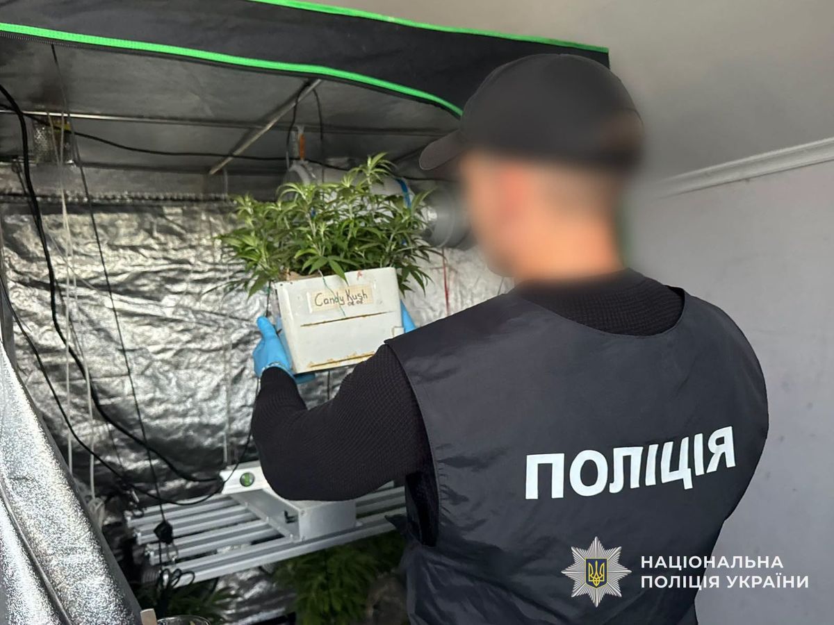 Під час операції «Джентльмени» затримали наркодилерів з трьох районів Закарпаття