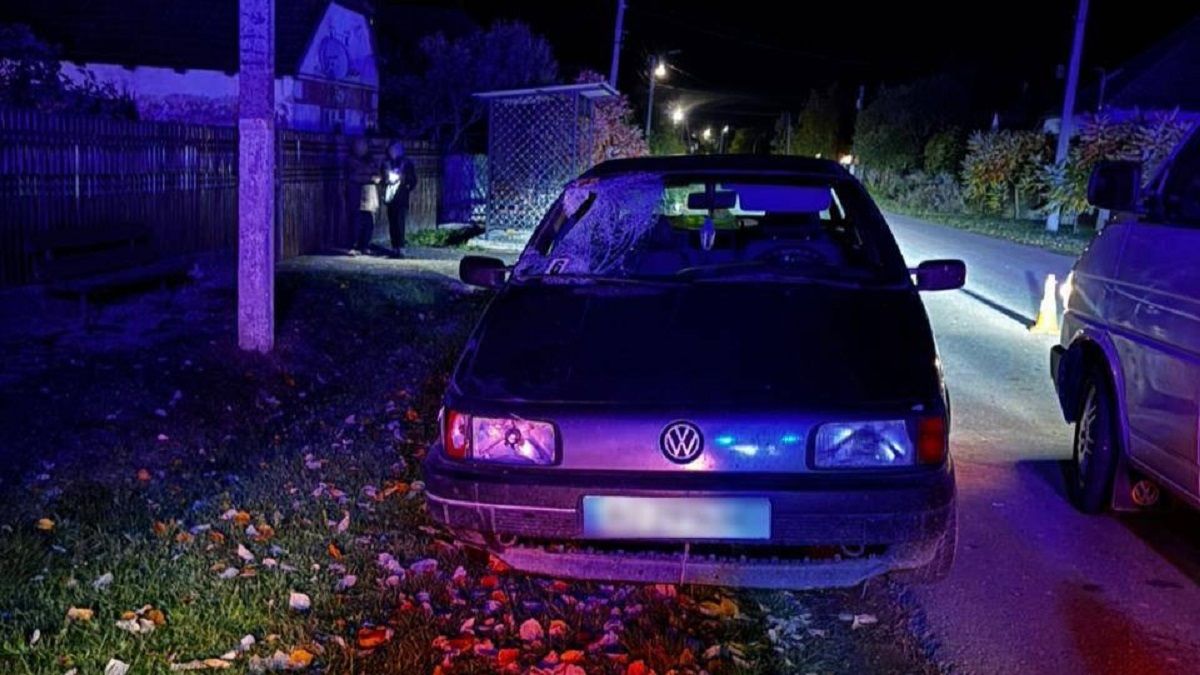 На Закарпатті засудили водія, який на смерть збив мешканку села