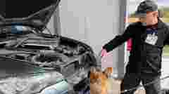 Митники вилучили у закарпатки BMW Х6 за сховані 1600 пачок сигарет
