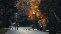 Бабине літо чи похолодання: синоптик розповів про погоду в Україні на вихідних