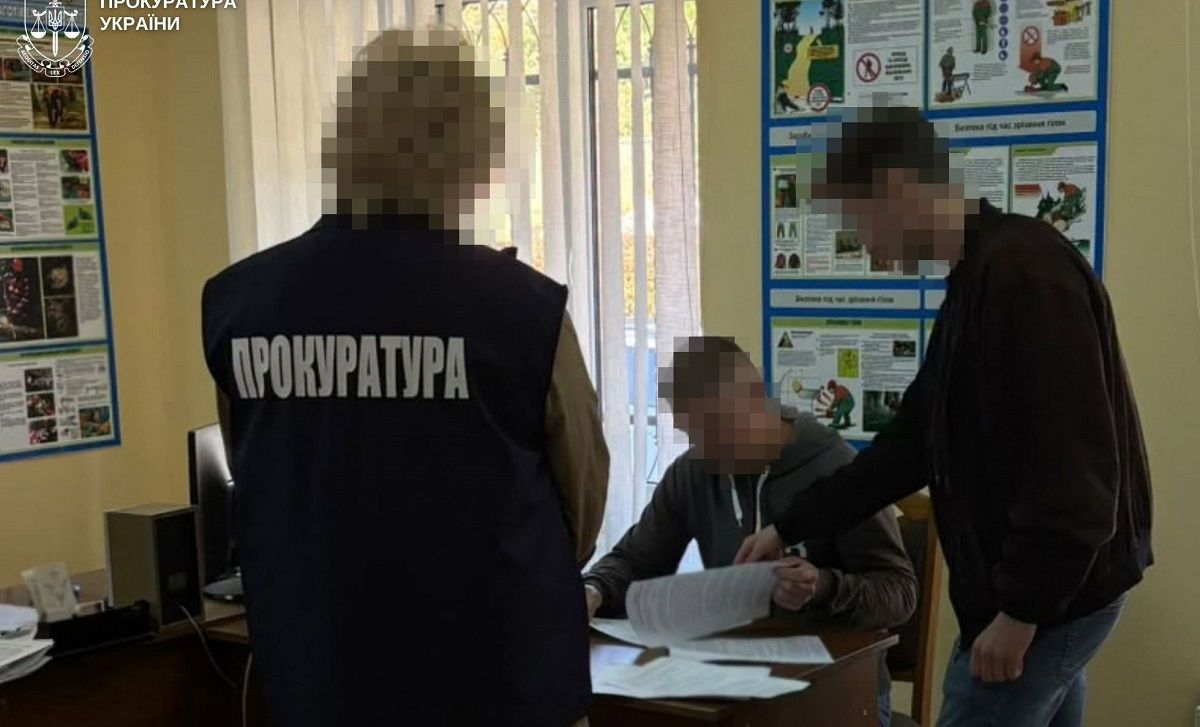 У заказнику на Львівщині викрили незаконну рубку ялин на понад 2,5 млн грн