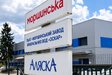 Депутатка заявила про можливі зв'язки переможця на управління «Моршинської» з Міндічем