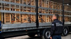 На Львівщині викрили схему незаконного експорту букової деревини на 1,1 млн грн