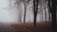 Сонце усміхнеться не всім: синоптики розповіли, у яких областях буде найхолодніше на вихідних