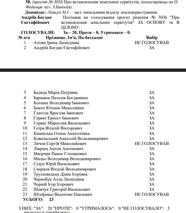 За розміщення екоострівця на вул. Олександра Фединця проголосували 20 депутатів