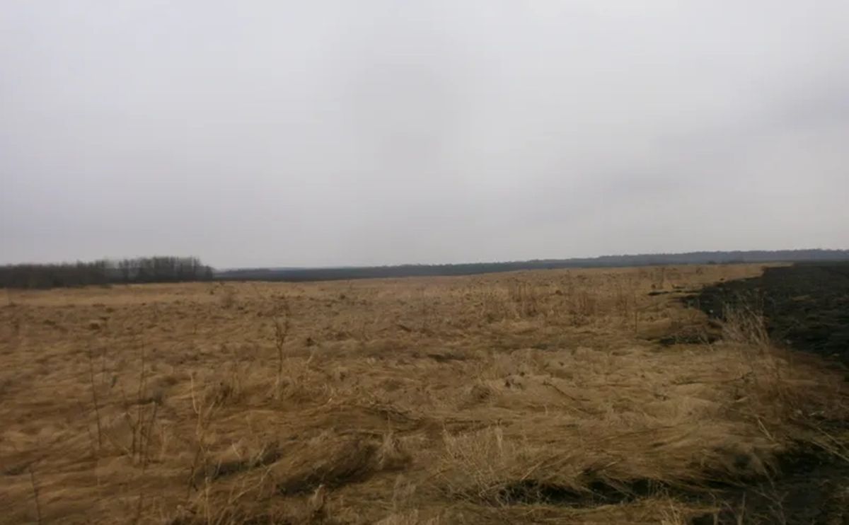Власник мережі кав'ярень з колишньою дружиною купили 0,6 га біля Львова
