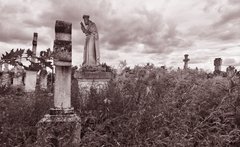 «Ми вже вдома, а ви в гостях»
