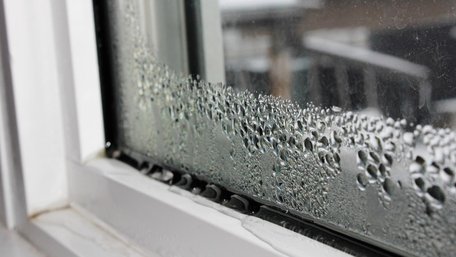 Вікна «плачуть», а в шафі неприємно пахне: як зменшити вологість у квартирі