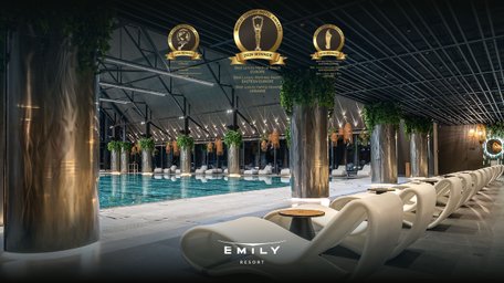Львівський Emily Resort визнали найкращим преміальним медичним курортом Європи
