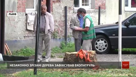 Львівський екопатруль виписав рекордний штраф за зрізку дерев