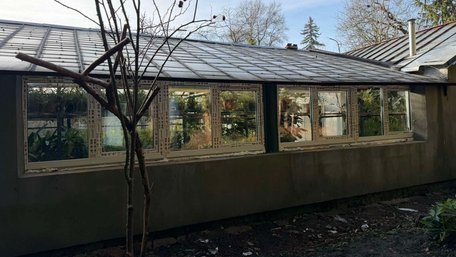 У Львові реконструювали єдину в Україні оранжерею лікарських рослин. Фото дня