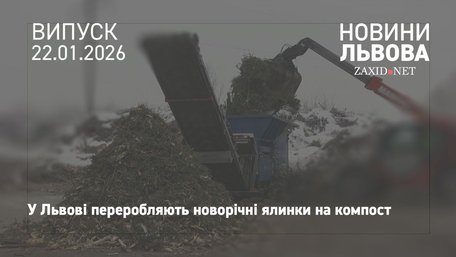 Після свят львів'яни здали на компостувальну станцію 10 тонн ялинок