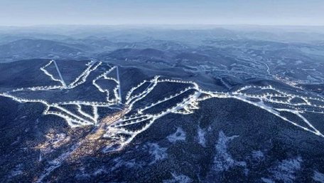 Львівська облрада підтримала передачу 176 га лісу для курорту Віталія Антонова