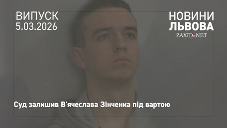 Підозрюваний у вбивстві Ірини Фаріон просив змінити запобіжний захід на домашній арешт 