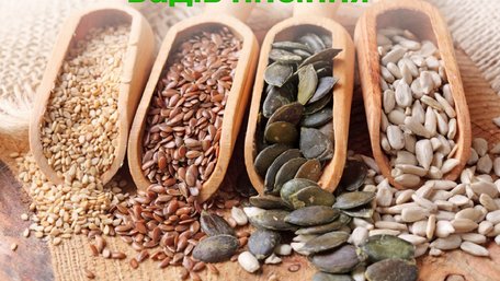 П’ять видів насіння, які допоможуть знизити рівень цукру в крові