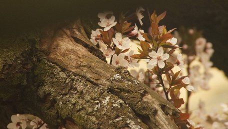 Що почути та побачити у Львові?