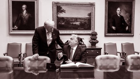 Європейський страус і його угорський слон під килимом