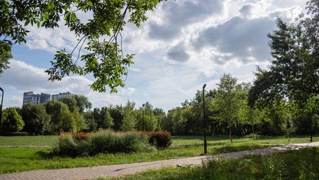 У львівському парку знайшли тіло двомісячного немовляти