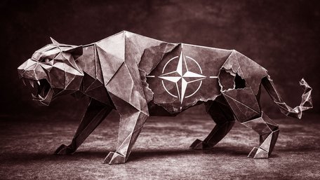 Або «Паперовий тигр», або новітнє НАТО 3.0