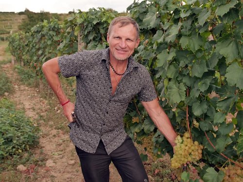 Олег Скрипка вирощує виноград на Закарпатті