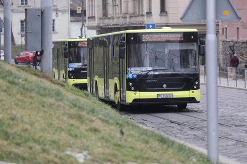 Львівська мерія роз'яснила, чи платитимуть пільговики за проїзд у міському транспорті