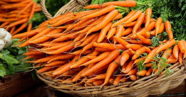 Коли та як садити моркву під зиму у 2022 році: терміни та поради