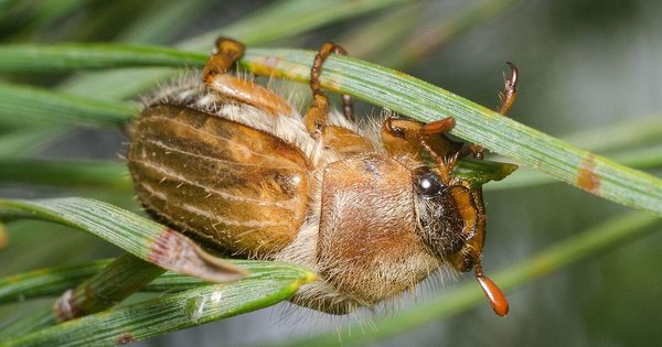 Заключення