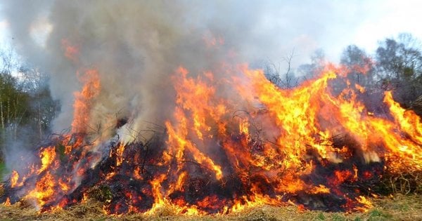 Під час спалювання сухої трави загинула 53-річна прикарпатка