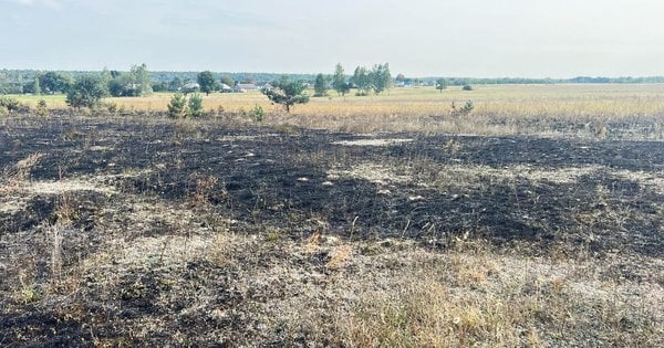 На Рівненщині під час спалювання сухої трави загинула пенсіонерка