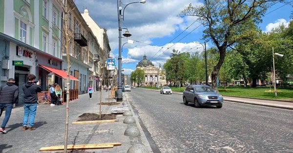 Рекламна компанія через суд скасувала дозвіл на висадку дерев у центрі Львова