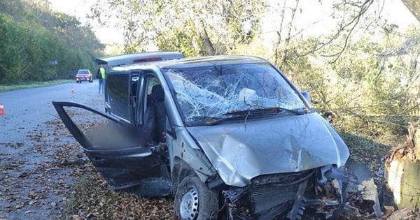 На Тернопільщині під час зіткнення з деревом загинув водій мікроавтобуса