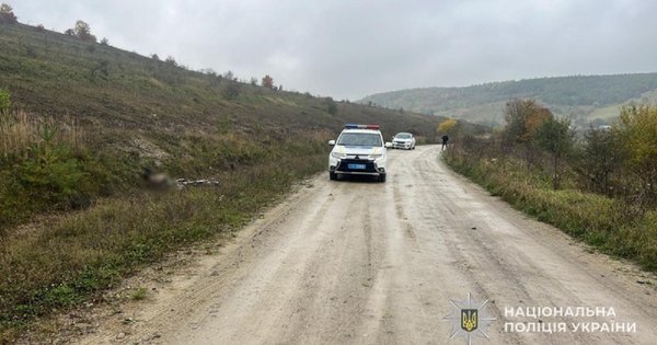 На Львівщині 54-річний водій  впорався з керуванням і загинув
