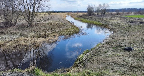На Золочівщині у меліоративному каналі виявили тіло потопельника
