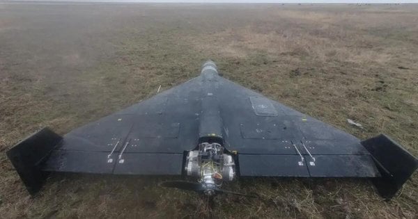 Доньку експодатківця оштрафували за спробу переслати пульт до російського дрона в Нідерланди