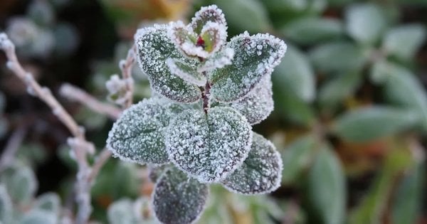 Заморозки чи потепління до +25°С: якою буде погода на Великдень та у квітні загалом