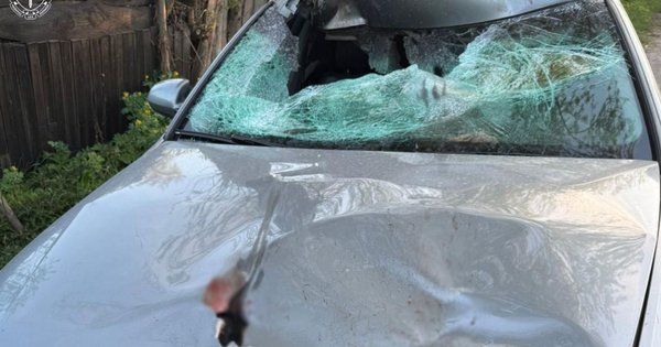 У Бродах водій Audi A6 насмерть збив 63-річного велосипедиста