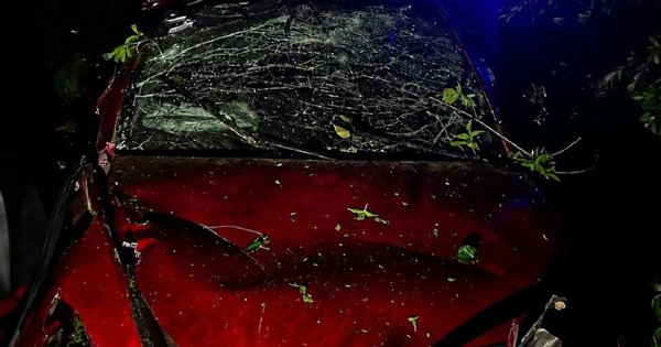 На Львівщині внаслідок перекидання автомобіля Tesla загинула одна людина та четверо травмувалися