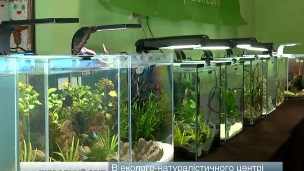 У Львові відкрили п’яту виставку міні-акваріумів