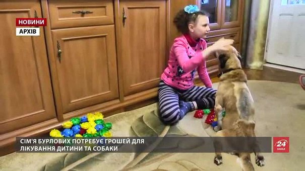 На Львівщині собака, який «навчив» говорити дівчинку, отримав шанс на одужання