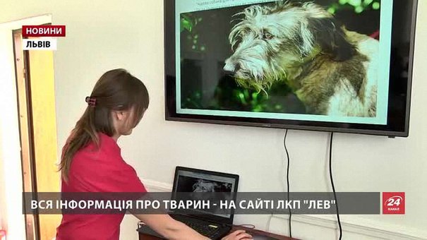 У Львові відкрили перший в Україні центр адопції тварин