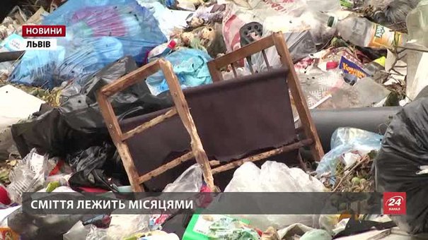 Кількість невивезеного сміття у Львові досягла рекордної позначки