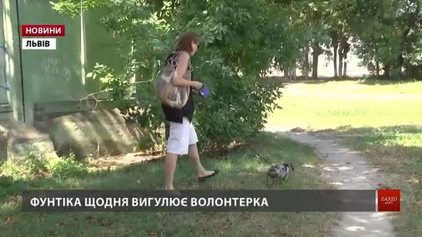 ЛКП «Лев» запрошує волонтерів вигулювати собак