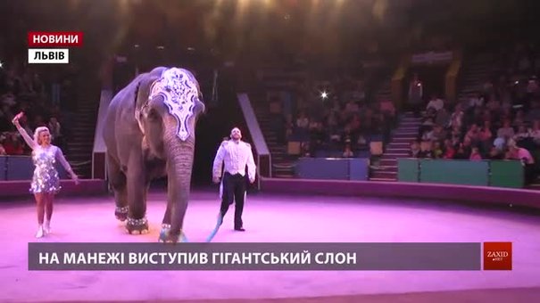 У Львівському цирку представили програму з патріотичним слоном та силачами