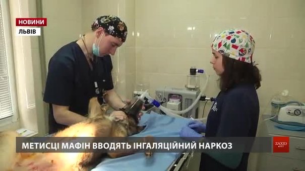 Ветеринарна клініка ЛКП «Лев» отримала сучасне обладнання