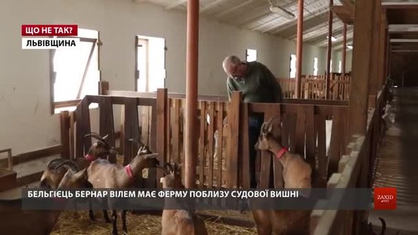 Конфлікт із фермою «Шеврет»: чи доведеться купувати козам навушники?