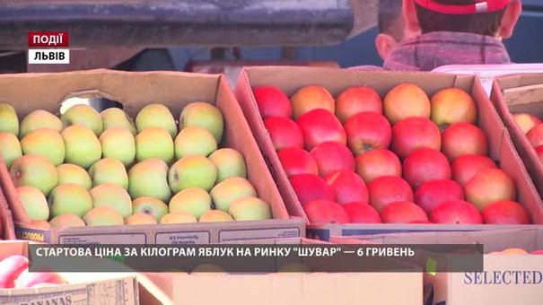 Стартова ціна за кілограм яблук на ринку «Шувар» – 6 гривень