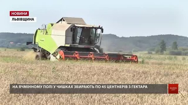 Аграрії Львівщини зібрали з полів 80% зернових культур