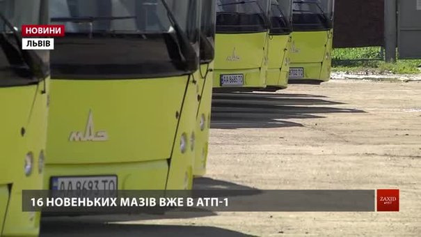 В АТП-1 розповіли, на які маршрути виїдуть нові великогабаритні автобуси МАЗ