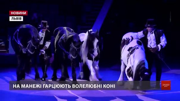У Львівському цирку презентували нову програму «Екзотична арена»