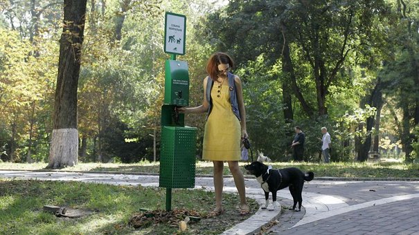 У Львові облаштують  75 зон для вигулу собак